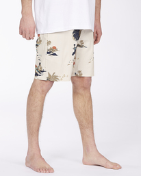 5 Adventure Division Surftrek Lo Tide 17" - BoardShort para Hombre Marron W1BS55BIP1 Billabong