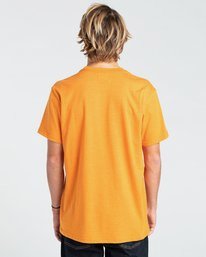 1 All Day - T-Shirt für Männer Rot W1JE20BIP1 Billabong