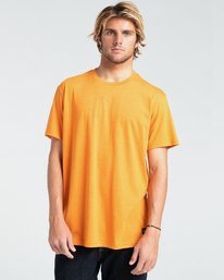 0 All Day - T-Shirt für Männer Rot W1JE20BIP1 Billabong