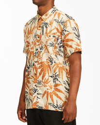 2 Adventure Division Kern Hemp - Short Sleeve Shirt for Men Beige W1SH08BIP1 Billabong