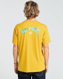 1 Arch Fill - T-shirt pour Homme Beige W1SS45BIP1 Billabong