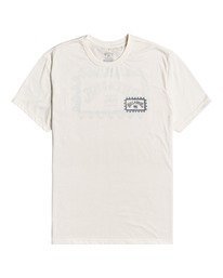 2 Adventure Division Arch Wave - T-shirt pour Homme Beige W1SS67BIP1 Billabong