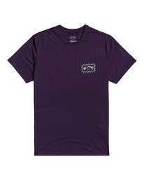 2 Adventure Division Arch Wave - T-Shirt for Men Purple W1SS67BIP1 Billabong