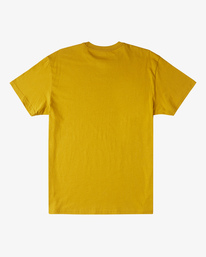 4 Our World - T-Shirt for Men  W1SS85BIP1 Billabong