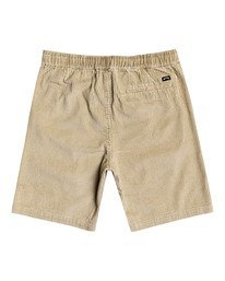 3 Bad Dog 20" - Elasticated Shorts for Men  W1WK32BIP1 Billabong