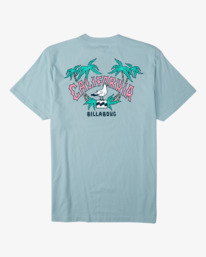 6 Arch CA - Camiseta para Hombre  X1SS04BIS1 Billabong