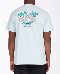 1 Arch CA - Camiseta para Hombre  X1SS04BIS1 Billabong