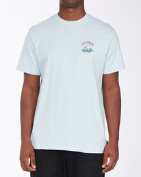0 Arch CA - Camiseta para Hombre  X1SS04BIS1 Billabong