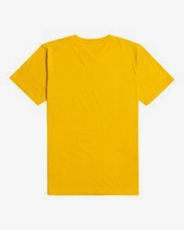 4 State Beach - T-Shirt für Männer Beige Z1SS27BIF1 Billabong