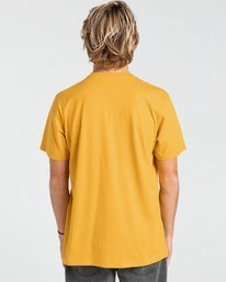 2 State Beach - T-Shirt für Männer Beige Z1SS27BIF1 Billabong