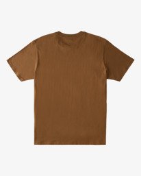 1 Glacier Runoff Aerial - T-shirt pour Homme Marron Z1SS51BIF1 Billabong