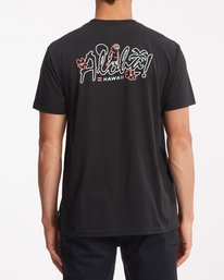 2 Aloha - T-Shirt for Men  Z1SS86BIF1 Billabong