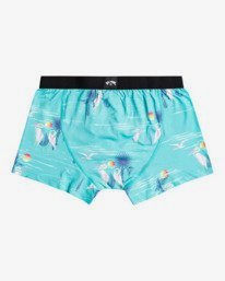 1 Ron - Boxers for Men Green Z1UN01BIF1 Billabong