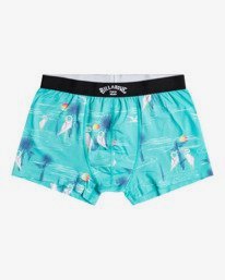 0 Ron - Boxers for Men Green Z1UN01BIF1 Billabong