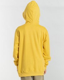 1 All Day - Sweat à capuche pour Garçon  Z2FL11BIF1 Billabong