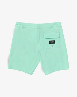 Every Other Day 17.5" - Lo Tides Boardshorts for Men  24A081513