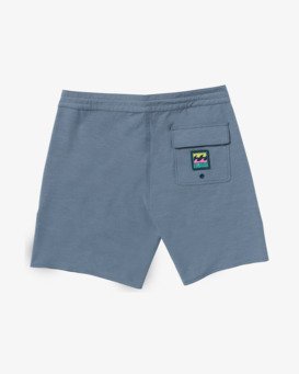 Every Other Day 17.5" - Lo Tides Boardshorts for Men  24A081513