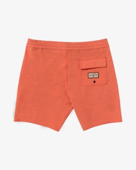 Every Other Day 17.5" - Lo Tides Boardshorts for Men  24A081513