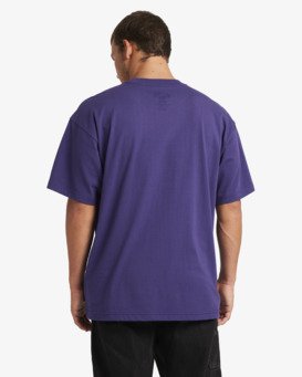 billabong, Sword Sharpening Og - T-Shirt à manches courtes pour Homme, FIG (fig) Sword Sharpening Og - Short Sleeve T-Shirt for Men  24A354570