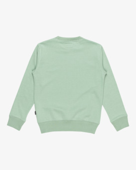 Arch - Pullover Sweatshirt for Boys 8 - 16  EBBFT00115