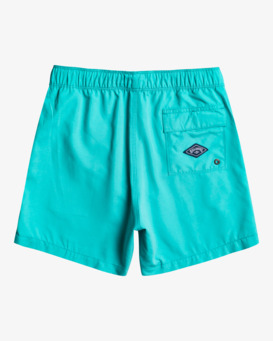 All Day Heritage Layback - Board Shorts for Boys 8-16  EBBJV00103