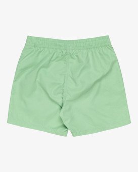 billabong, All Day Layback 14" - Swim Shorts for Boys 8-16, SEA GREEN (ghh0) All Day Layback 14" - Swim Shorts for Boys 8-16  EBBJV00115