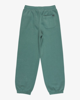 billabong, Arch - Type : Joggers for Boys 8-16, SAGEBRUSH (bmr0) Arch - Type : Joggers for Boys 8-16  EBBNP03006
