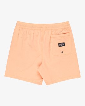 Every Other Day 17"- Layback Swim Shorts for Men  EBYJV00145