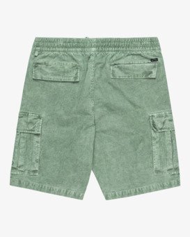 billabong, Larry 20" - Short de marche à taille élastique pour homme, MOSS (gla0) Larry 20" - Elastic Waist Walkshorts for Men  EBYWS00129