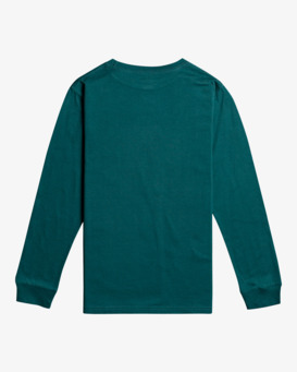 Swell - Long Sleeve T- Shirt for Boys 8 - 14  F2LS02BIF2