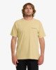 GOLDEN YELLOW (gyl)