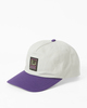 PURPLE RAIN (pnm0)