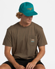 DEEP TEAL (dta)