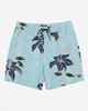 Sundays Layback - Board Shorts for Men  ABYJV00103