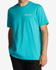 DARK MINT (dmi)
