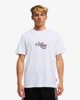WHITE (wht)