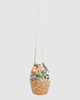 SALT CRYSTAL (4194)