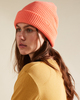 ORANGE CRUSH (3590)