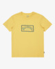 MISTED YELLOW (yhl0)