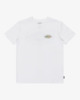 WHITE (wht)