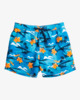 Island 16 - Swim Shorts for Men  EBYJV00119