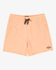 Every Other Day - Swim Shorts for Men  EBYJV00145