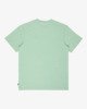 DUSTY GREEN (gdm0)