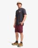 PLUM (rsn0)