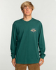 DEEP TEAL (dta)