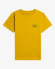 AMBER (0552)