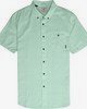COOL MINT (2890)