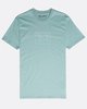 DUST GREEN (3902)