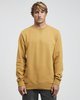 GOLD (0581)