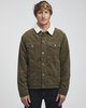 PINE (0736)